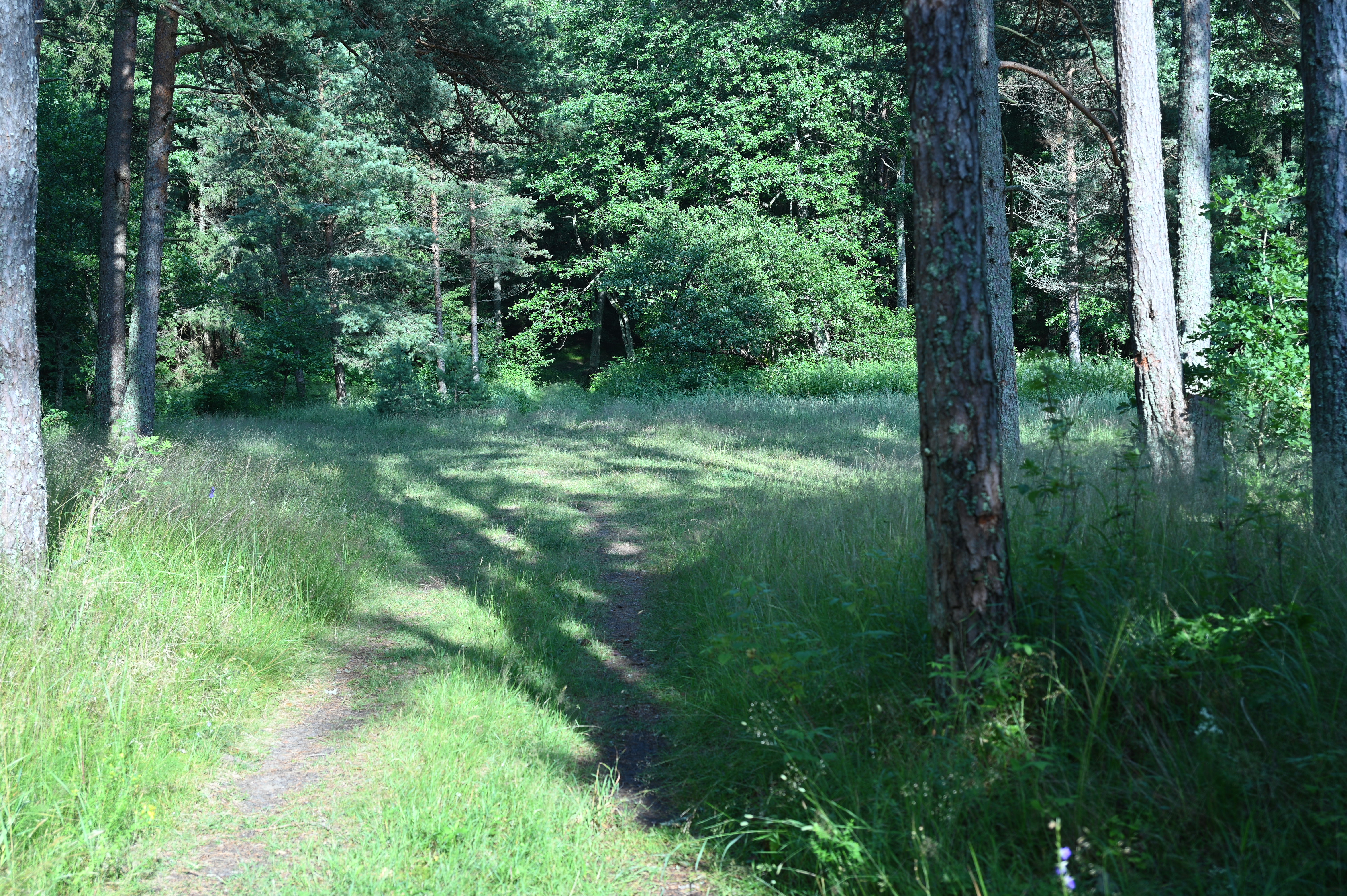 2025/07/09-14 - trip/DSC_0269.JPG